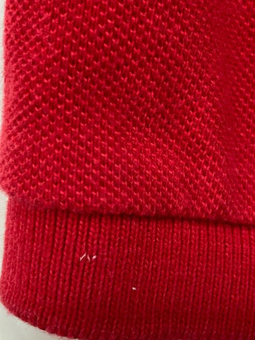 POLO RALPH LAUREN（ポロ・ラルフローレン）POLO RALPH LAUREN (ポロ・ラルフローレン) ビッグポニーポロシャツ レッド サイズ:Mの古着・服飾アイテム