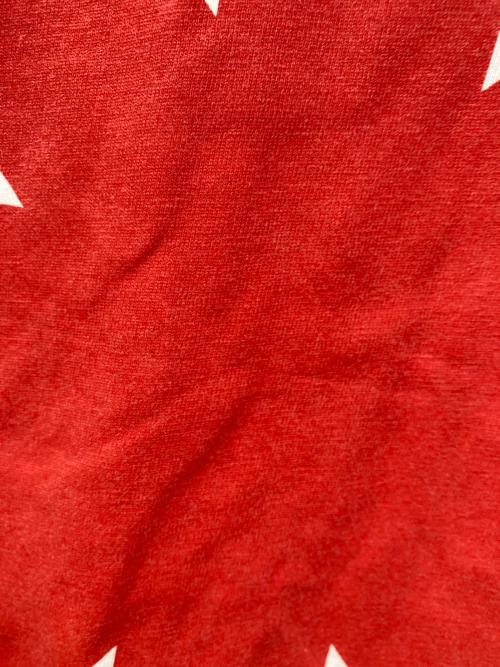 RED HOT CHILI PEPPERS（レッドホットチリペッパーズ）Red Hot Chili Peppers (レッドホットチリペッパーズ) ロゴTシャツ ホワイト サイズ:Mの古着・服飾アイテム