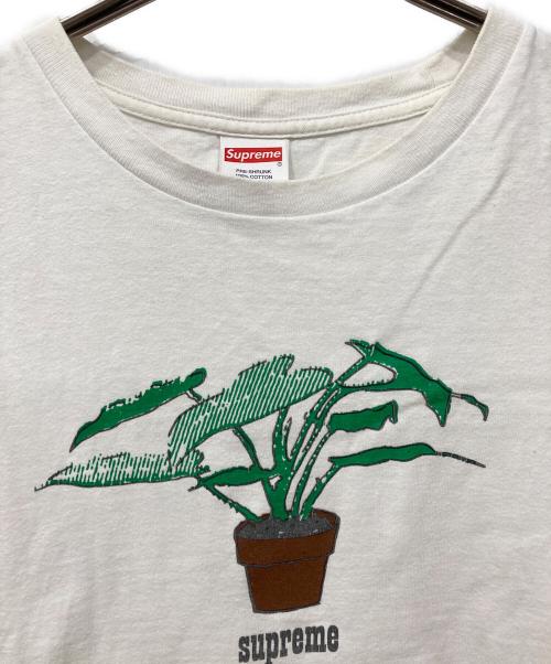 SUPREME（シュプリーム）Supreme (シュプリーム) Plant Tee ホワイト サイズ:Sの古着・服飾アイテム