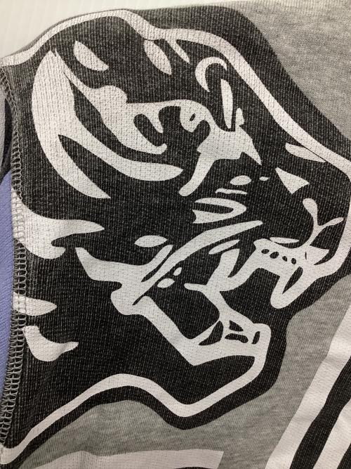 KENZO（ケンゾー）KENZO (ケンゾー) タイガー刺繍スウェット グレー サイズ:Mの古着・服飾アイテム