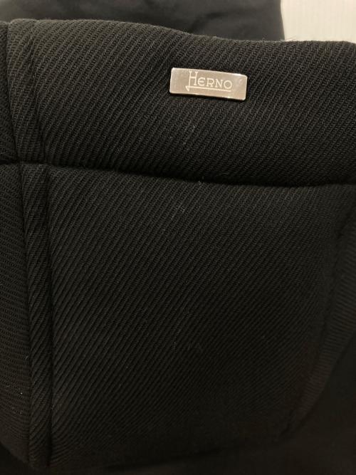 HERNO（ヘルノ）HERNO (ヘルノ) POLAR-TECH撥水ナイロンフーデッドダウンジャケット ブラック サイズ:44の古着・服飾アイテム