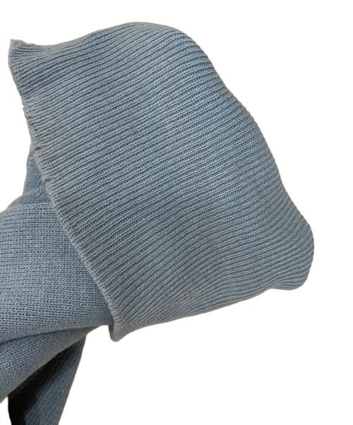 Champion REVERSE WEAVE（チャンピオン リバース ウィーブ）Champion REVERSE WEAVE (チャンピオン リバース ウィーブ) リバースウィーブスウェット サックスブルー サイズ:Lの古着・服飾アイテム