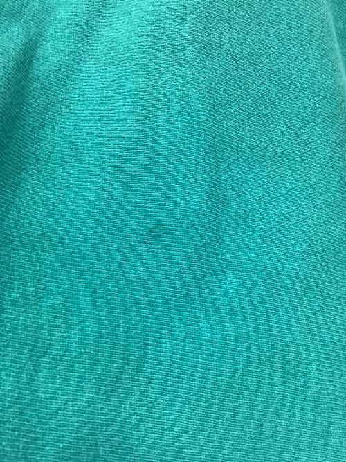 Champion REVERSE WEAVE（チャンピオン リバース ウィーブ）Champion REVERSE WEAVE (チャンピオン リバース ウィーブ) リバースウィーブスウェット ターコイズグリーン サイズ:Mの古着・服飾アイテム