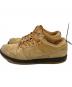NIKE SB (ナイキエスビー) Dunk Low Pro 