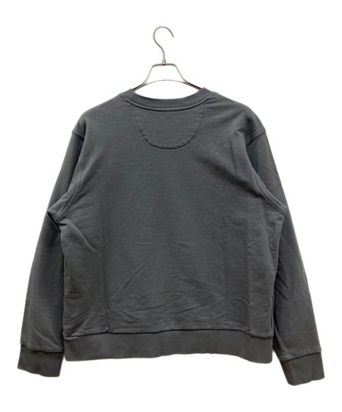 Patagonia（パタゴニア）Patagonia (パタゴニア) デイリー・クルーネック・スウェットシャツ グレー サイズ:Mの古着・服飾アイテム