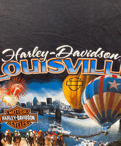 HARLEY-DAVIDSON（ハーレーダビッドソン）HARLEY-DAVIDSON (ハーレーダビッドソン) プリントTシャツ ブラック サイズ:2ＸＬの古着・服飾アイテム