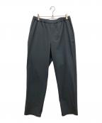 THE NORTH FACEザ ノース フェイス）の古着「Apex Relax Pant（エイペックス リラックスパンツ）」｜グレー