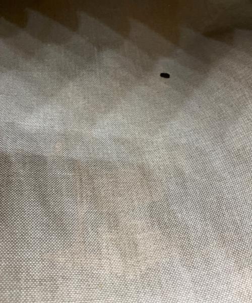 GUCCI（グッチ）GUCCI (グッチ) PVCシェリーライントートバッグ ベージュの古着・服飾アイテム