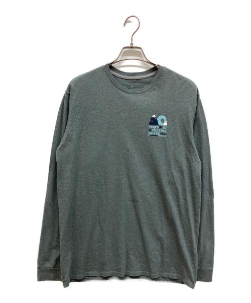 Patagonia（パタゴニア）Patagonia (パタゴニア) キャプリーンクールデイリーグラッフィックT ネイビー サイズ:Ｓの古着・服飾アイテム