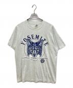 FRUIT OF THE LOOMフルーツオブザルーム）の古着「プリントTシャツ」｜グレー