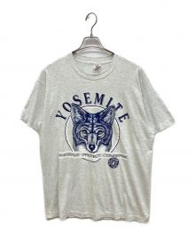FRUIT OF THE LOOM（フルーツオブザルーム）の古着「プリントTシャツ」｜グレー