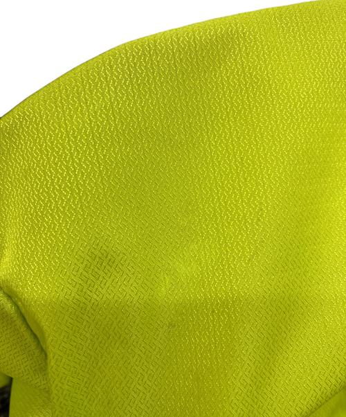 MAMMUT（マムート）MAMMUT (マムート) リュック　リチウム 20  イエローの古着・服飾アイテム