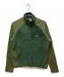 Patagonia（パタゴニア）の古着「ロスロボススナップT」｜グリーン