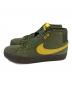 NIKE SB (ナイキエスビー) ANTIHERO (アンタイヒーロー) Zoom Blazer Mid QS 