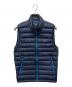 Patagonia（パタゴニア）の古着「ダウン・セーター・ベスト」｜ブルー
