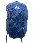 GREGORYグレゴリー）の古着「Arrio 22 バックパック」｜ネイビー