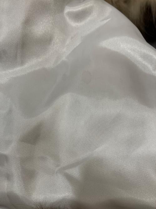 ANAYI（アナイ）ANAYI (アナイ) シルバーフォックスファージャケット ベージュ サイズ:38の古着・服飾アイテム