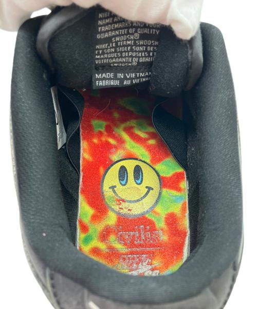 NIKE SB（ナイキエスビー）NIKE SB (ナイキエスビー) Civilist (シヴィリスト) Dunk Low 