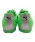 PUMA (プーマ) PUMA H-STREET OG FIZZY GREEN-PUMA SILVER グリーン サイズ:28：7000円