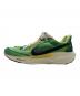 NIKE (ナイキ) PEGASUS 41 ”WAFFLE RACER