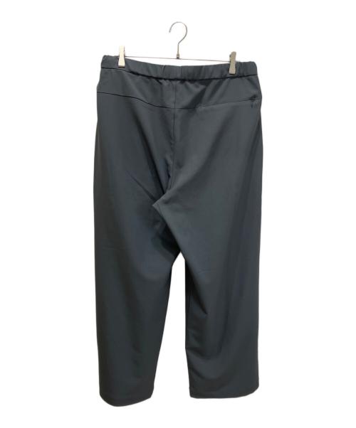 DESCENTE ALLTERRAIN（デザイント オルテライン）Descente ALLTERRAIN (デザイント オルテライン) TECH WIDE PANTS グレー サイズ:Lの古着・服飾アイテム