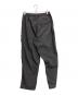 THE NORTH FACE (ザ ノース フェイス) Geology Pant ジオロジーパンツ グレー サイズ:M：8000円