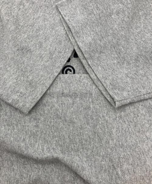 Champion REVERSE WEAVE（チャンピオン リバース ウィーブ）Champion REVERSE WEAVE (チャンピオン リバース ウィーブ) stussy (ステューシー) Tシャツ グレー サイズ:Lの古着・服飾アイテム