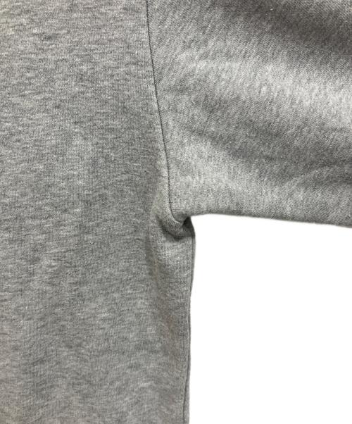 THE NORTH FACE（ザ ノース フェイス）THE NORTH FACE (ザ ノース フェイス) リアビューフルジップフーディ グレー サイズ:Mの古着・服飾アイテム