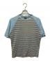 stussy（ステューシー）の古着「ラグランボーダーTシャツ」｜グレー×スカイブルー