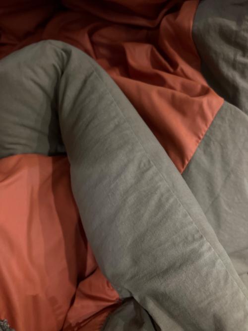 THE NORTH FACE（ザ ノース フェイス）THE NORTH FACE (ザ ノース フェイス) CAMP Sierra Short オリーブ サイズ:Mの古着・服飾アイテム