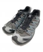 SALOMONサロモン）の古着「XA PRO 3D V9 GTX」｜グレー