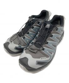SALOMON（サロモン）の古着「XA PRO 3D V9 GTX」｜グレー