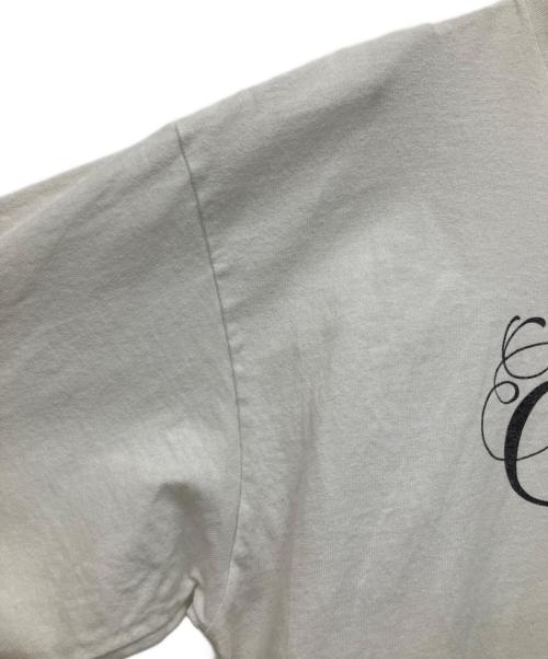 stussy（ステューシー）stussy (ステューシー) 00ｓオールドロゴTシャツ ホワイト サイズ:Lの古着・服飾アイテム