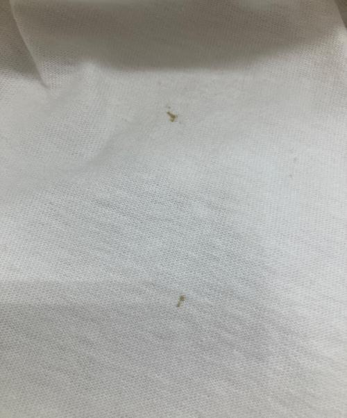 stussy（ステューシー）stussy (ステューシー) 00ｓオールドロゴTシャツ ホワイト サイズ:Lの古着・服飾アイテム