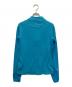 MAMMUT (マムート) Cotopaxi Zip Pull ブルー サイズ:L 未使用品：5000円