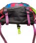 中古・古着 THE NORTH FACE (ザ ノース フェイス) HOT SHOT マルチカラー：5000円