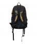 THE NORTH FACE (ザ ノース フェイス) ビッグショット ベージュ：8000円