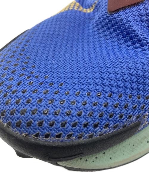 NIKE（ナイキ）NIKE (ナイキ) PEGASUS TRAIL 2 GTX ブルー サイズ:25.5㎝の古着・服飾アイテム