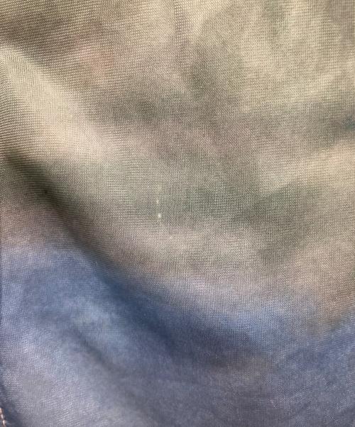 Ameri（アメリ）AMERI (アメリ) Silvia Conde Olivan×AMERI SHEER TOP グリーン サイズ:Freeの古着・服飾アイテム