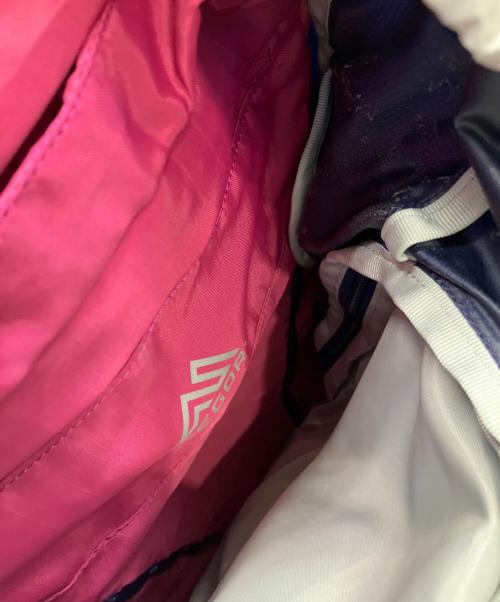 GREGORY（グレゴリー）GREGORY (グレゴリー) リュック　DEVA 50 ブルーの古着・服飾アイテム