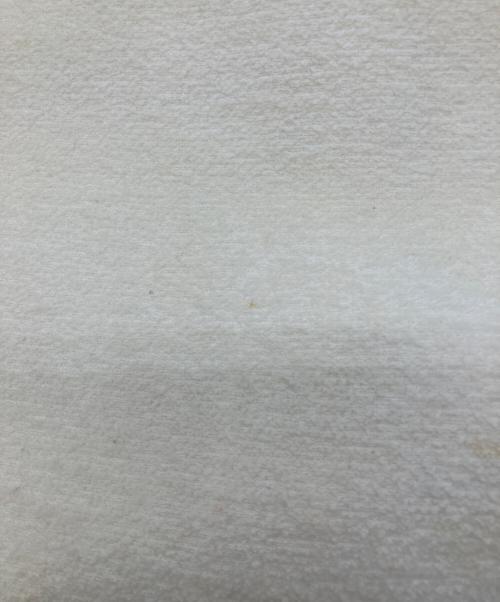 ALESSANDRA RICH（アレッサンドラ リッチ）ALESSANDRA RICH (アレッサンドラ リッチ) スカート ベージュ サイズ:42の古着・服飾アイテム
