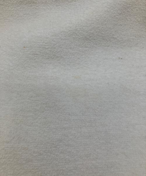 ALESSANDRA RICH（アレッサンドラ リッチ）ALESSANDRA RICH (アレッサンドラ リッチ) スカート ベージュ サイズ:42の古着・服飾アイテム