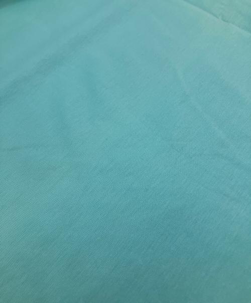 DIESEL（ディーゼル）DIESEL (ディーゼル) T-DIEGOS-Ｋ39t-SHIRT スカイブルー サイズ:Lの古着・服飾アイテム