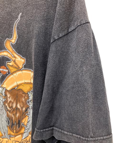 HARLEY-DAVIDSON（ハーレーダビッドソン）HARLEY-DAVIDSON (ハーレーダビッドソン) プリントTシャツ ブラック サイズ:不明の古着・服飾アイテム