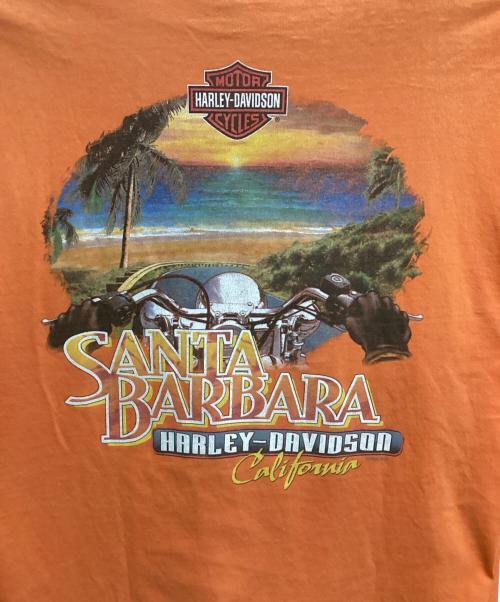 HARLEY-DAVIDSON（ハーレーダビッドソン）HARLEY-DAVIDSON (ハーレーダビッドソン) 袖フレイム両面プリントカットソー オレンジ サイズ:Lの古着・服飾アイテム