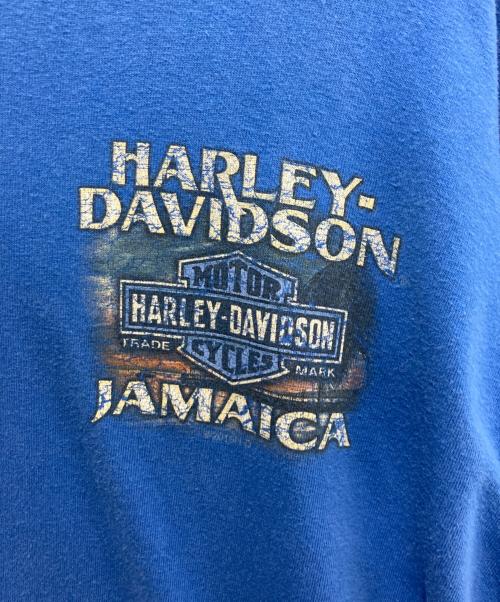 HARLEY-DAVIDSON（ハーレーダビッドソン）HARLEY-DAVIDSON (ハーレーダビッドソン) 長袖カットソー ブルー サイズ:XLの古着・服飾アイテム