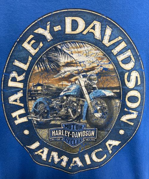 HARLEY-DAVIDSON（ハーレーダビッドソン）HARLEY-DAVIDSON (ハーレーダビッドソン) 長袖カットソー ブルー サイズ:XLの古着・服飾アイテム