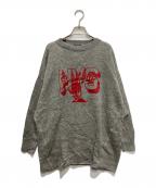 Hysteric Glamourヒステリックグラマー）の古着「HYS COLLEGE pt BIGプルオーバー」｜グレー