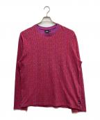 stussyステューシー）の古着「LETTER STRIPE LS CREW」｜パープル