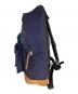 JANSPORT (ジャンスポーツ) EASTPAK (イーストパック) BEAMS (ビームス) トリプルネームバックパック グリーン×ネイビー：30000円